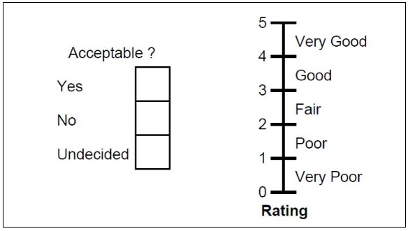 This form has two questions. First, It asks if the surfae is acceptable with the answers being yes, no, and undecided. The second has a line with numbers and asks the person to rate the surface from 0 to 5. The words Very good, Good, Fair, Poor, and Very Poor are beside the line.