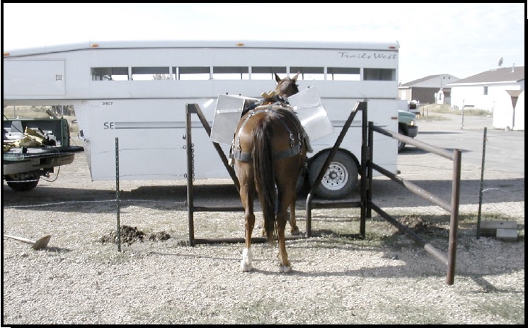 Figure 4—A horse walking through a “V” gate in Utah. This gate is not accessible because it is narrower than the minimum width required for passage of a wheelchair (32 inches) and the bar across the opening is higher than 1 inch.