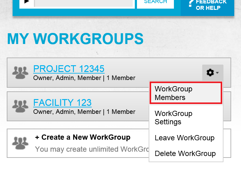 Screenshot showing the cog menu for Project 12345 expanded to reveal the following options: WorkGroup Members, WorkGroup Settings, Leave WorkGroup and Delete WorkGroup. WorkGroup members is highlighted.