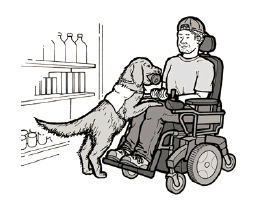 A drawing showing how service animals provide many types of assistance for people with disabilities.
