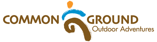 Orange, brown, and blue CGOA logo