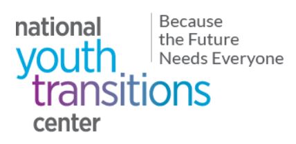 National Youth Transitions Center, Because the Future Needs Everyone