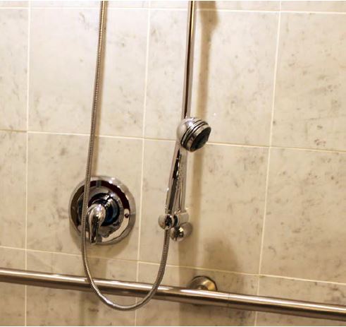 Shower head and grab bar