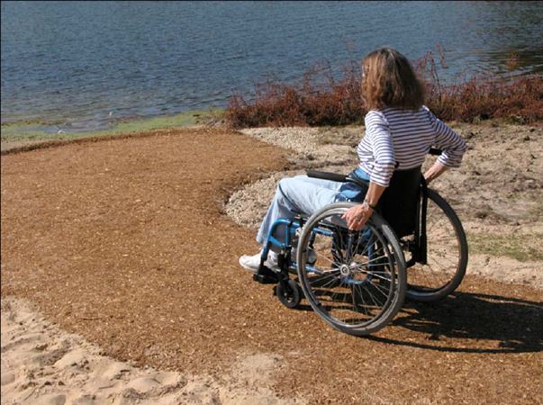 woman in a wheelchair on a trail on a lakeside
