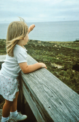 Photo of a little girl standing on the middle rail of a guardrail and looking at the view of a big lake.