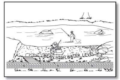 Illustration of a person using a wheelchair holding a fishing pole and scrounging in a tackle box, while another person wearing waders fishes in the river. Text shows the location of the mean high water level.
