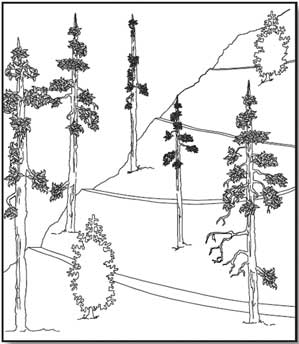 Illustration showing a gently sloped trail on a hill with three switchbacks.
