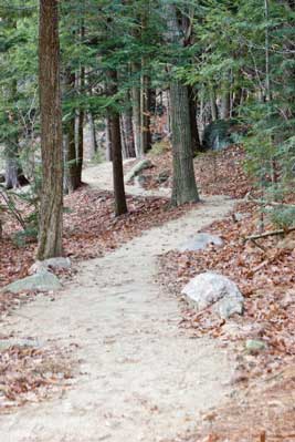 Photo of an earthen trail gently winding through a forested area.