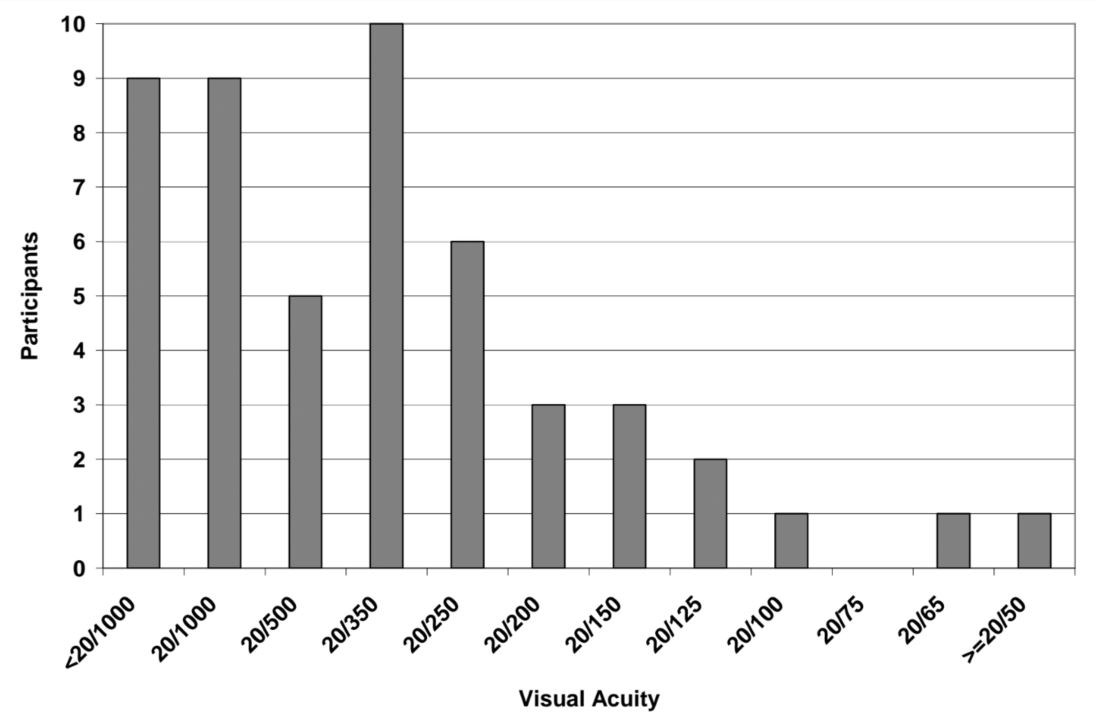 Figure 5. Chart.  Distribution of Participants’ Visual Acuity