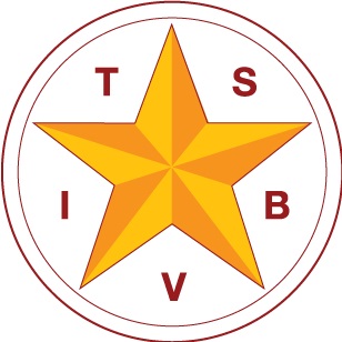 TSBVI Logo