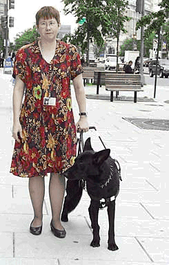 A photograph of a woman and her service animal walking down a city street.