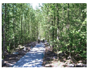 Wide view of glacial moraine and geotextile fabric trail.