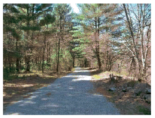 1/2” Crusher Run trail through wooded area.