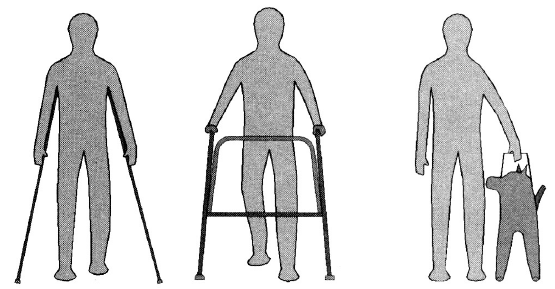 Drawing shows three figures walking with crutches, a walker and a service animal