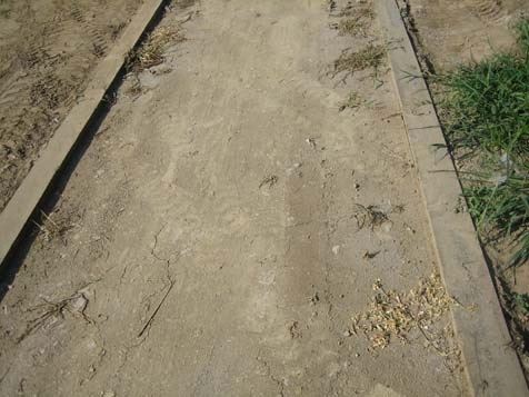 Polypavement appears as dirt surface.