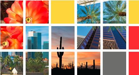 Collage of images representing Arizona (cacti, flowers, Phoenix skyline, palm trees)