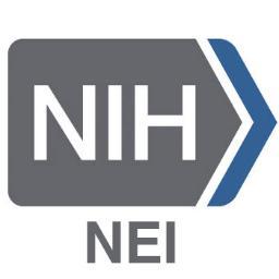 NEI Logo